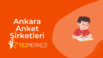 Ankara Anket Şirketleri